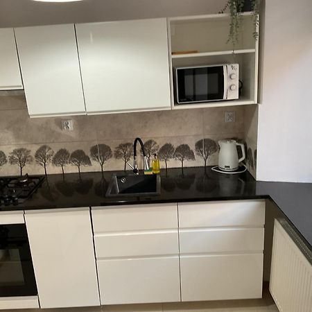 Omorika Na Zamkowej Apartman Krakkó Kültér fotó