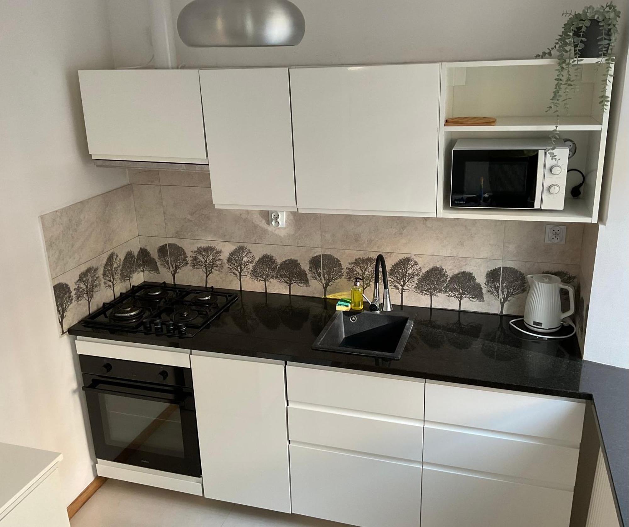 Omorika Na Zamkowej Apartman Krakkó Kültér fotó