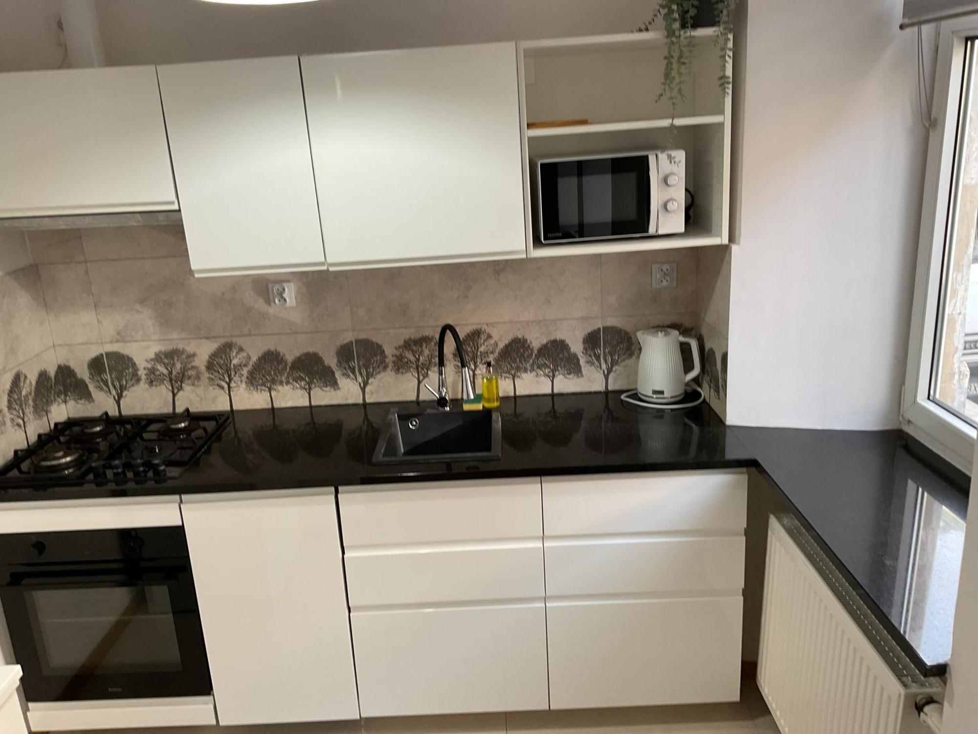 Omorika Na Zamkowej Apartman Krakkó Kültér fotó