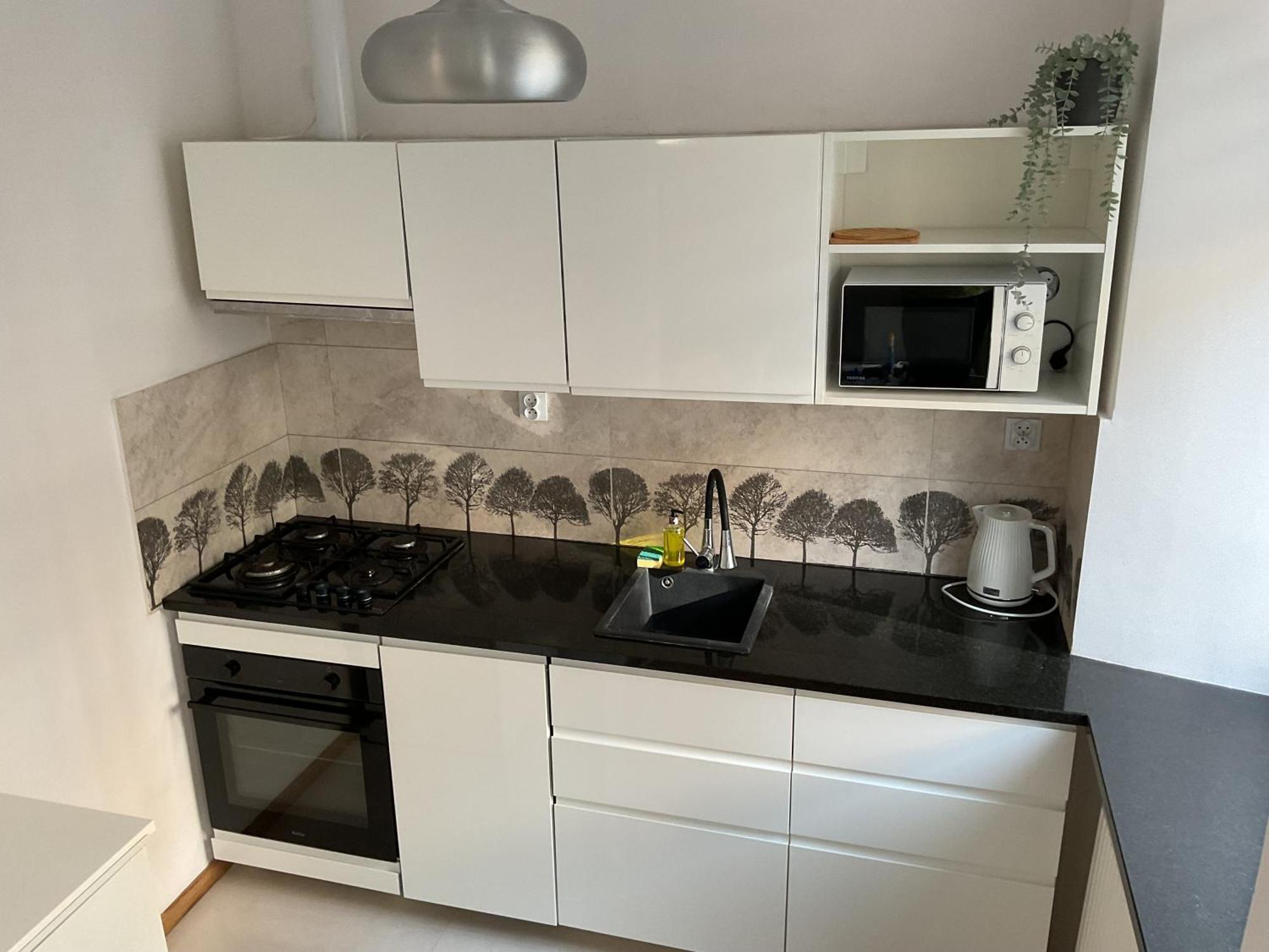 Omorika Na Zamkowej Apartman Krakkó Kültér fotó